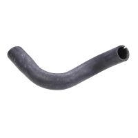 Radiator hose bottom radiator