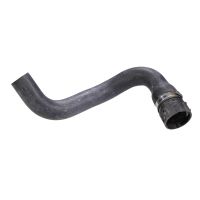 Radiator hose bottom radiator