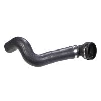 Radiator hose bottom expansion tank