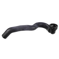 Radiator hose top engine