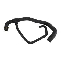 Radiator hose radiator bottom