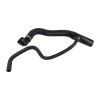 Radiator hose below radiator