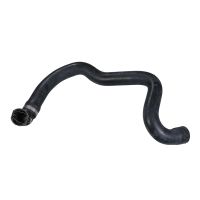 Radiator hose bottom right