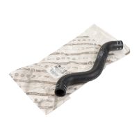 Radiator hose above radiator original FCA