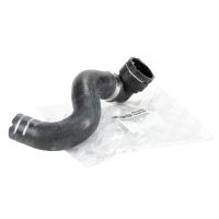 Radiator hose at the bottom of the radiator