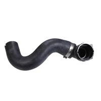 Radiator hose bottom on radiator