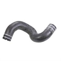 Radiator hose top on radiator