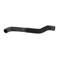 Radiator hose top on radiator