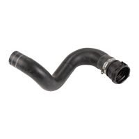 Radiator hose at the bottom of the radiator