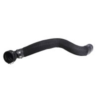 Radiator hose bottom on radiator