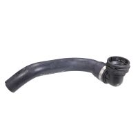 Radiator hose bottom on radiator