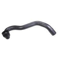 Radiator hose bottom on radiator