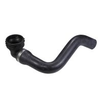 Radiator hose bottom on radiator