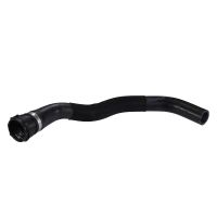 Radiator hose top on radiator