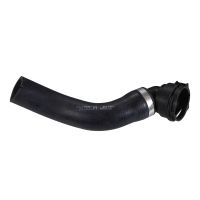 Radiator hose top on radiator