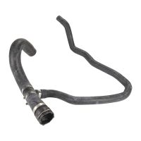 Radiator hose bottom on radiator