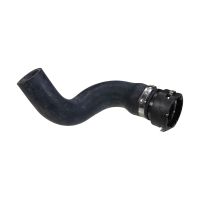 Radiator hose bottom on radiator