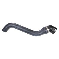 Radiator hose top on radiator