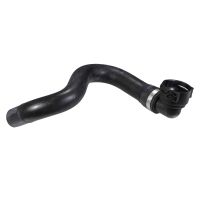 Radiator hose bottom on radiator