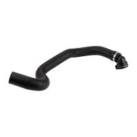 Radiator hose bottom right