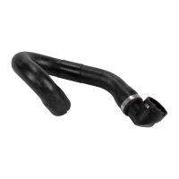 Radiator hose bottom right