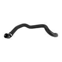 Radiator hose bottom left