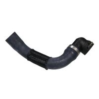 Radiator hose bottom right