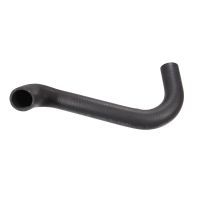 Radiator hose to thermostat