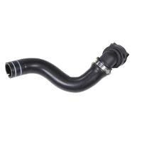 Radiator hose thermostat radiator