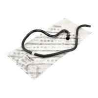 Radiator hose from expansion tank