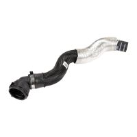 Radiator hose for the inlet