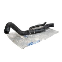 Radiator hose