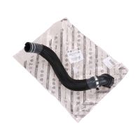 Radiator water hose