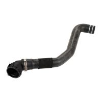 Radiator hose inlet radiator
