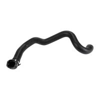 Kühlerschlauch unten