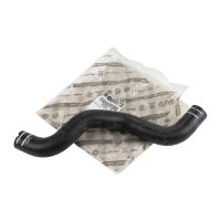 Radiator water hose