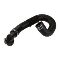 Radiator hose on the engine radiator