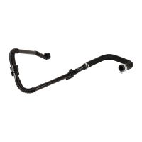 Radiator hose from connection piece to expansion tank