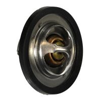 Thermostat insert 88 degrees