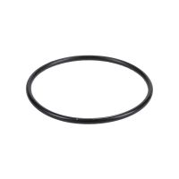Thermostat seal O-ring