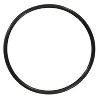 Thermostat seal O-ring