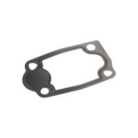 Thermostat seal