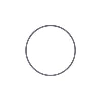 Sealing ring water pump