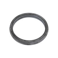 Thermostat seal
