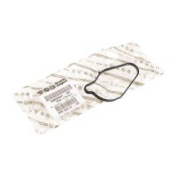 Gasket thermostat