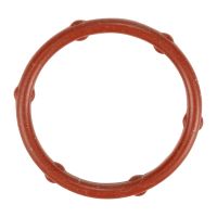 Seal ring coolant bypass