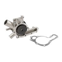 Water pump with pulley