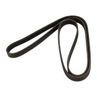 V-ribbed belt 6K1856