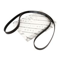 V-ribbed belt 6K1856