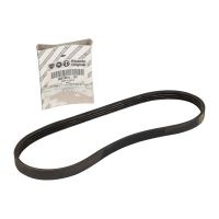 V-ribbed belt 4PK665 / 8